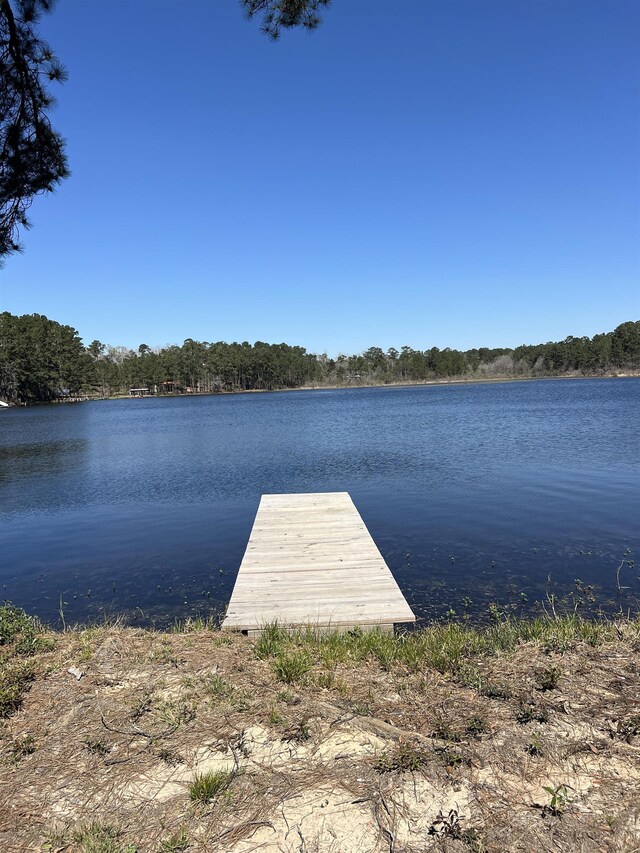 357 23rd St, Woodville, TX 75979 - photo 3