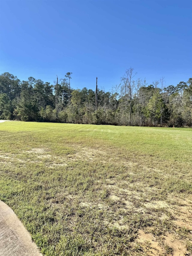 Listing photo 2 for 00 Settlement Way, Vidor TX 77662