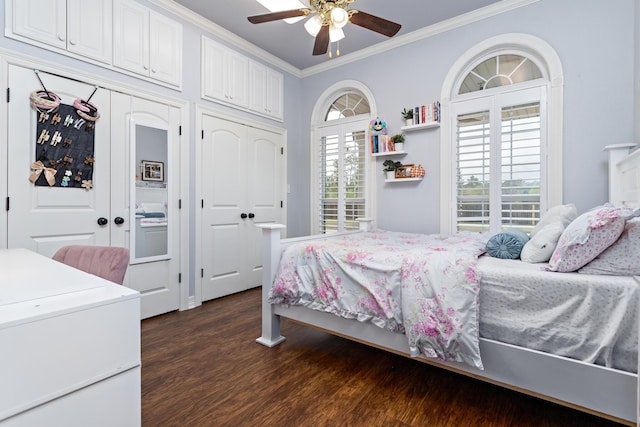 bedroom featuring ceiling fan, dark hardwood / wood-style flooring, ornamental molding, and two closets