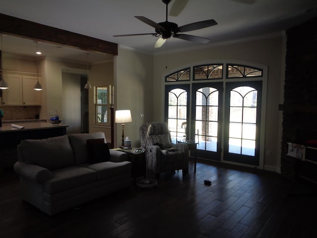 living area featuring ceiling fan, dark wood-style floors, and ornamental molding