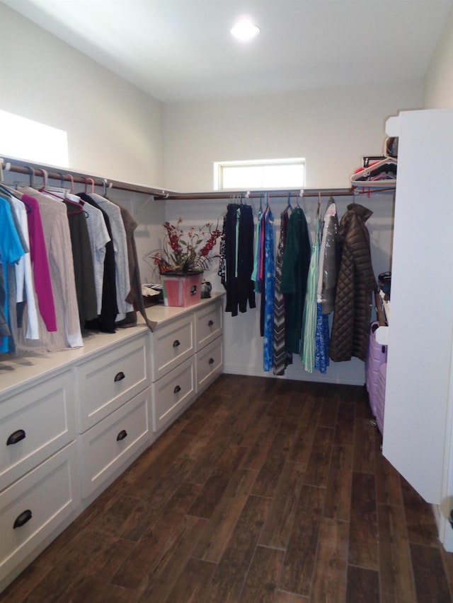 walk in closet with dark wood-style floors