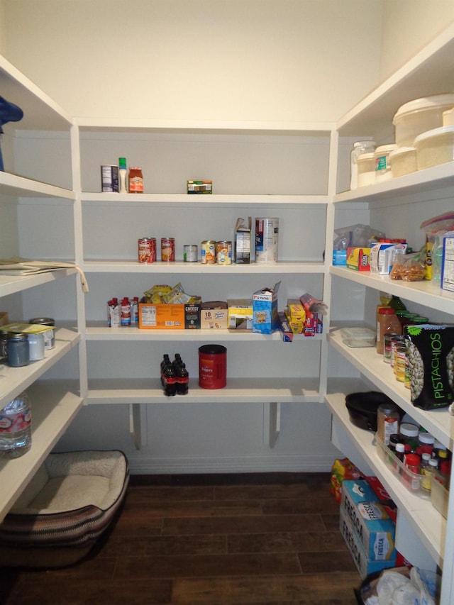 view of pantry