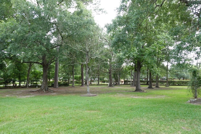 7840 Halliday St, Beaumont, TX 77706 - view of grassy yard