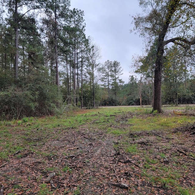 Listing photo 2 for 4810 Fm 1003, Kountze TX 77625