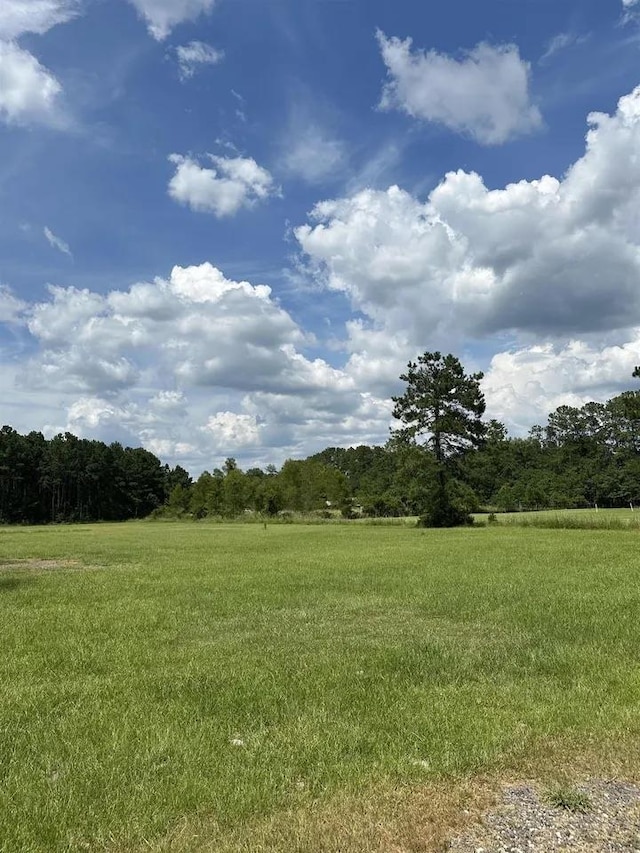 8185 Fm 1122, Silsbee, TX 77656 - view of green lawn featuring a forest view and a view of countryside