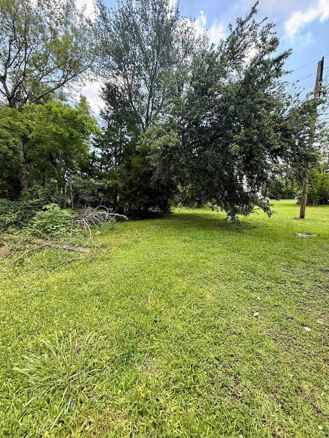 932 Dallas Ave, Port Arthur, TX 77640 - view of grassy yard
