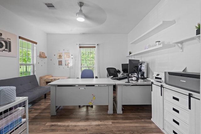 503 Country Wood Cir, Sour Lake, TX 77659 - office with plenty of natural light, ceiling fan, and dark wood finished floors