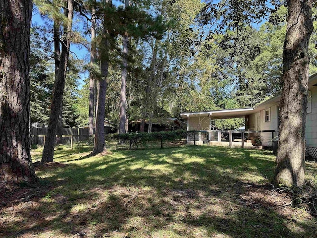 view of yard featuring a carport