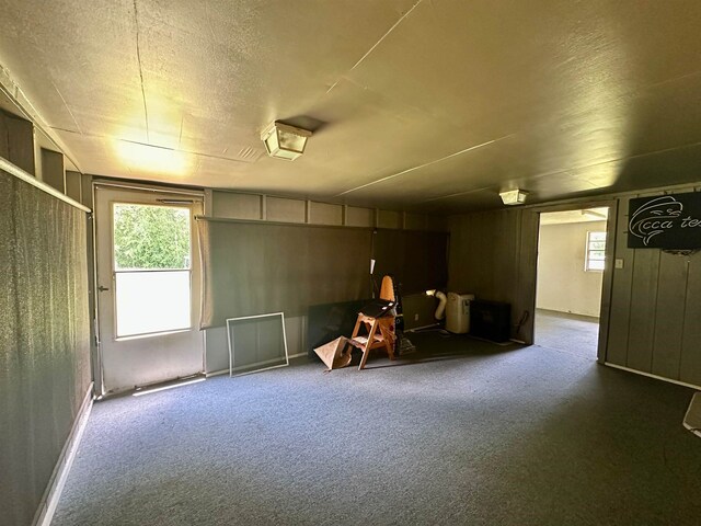 3605 Lawn Oak Dr, Orange, TX 77632 - basement with plenty of natural light and carpet floors