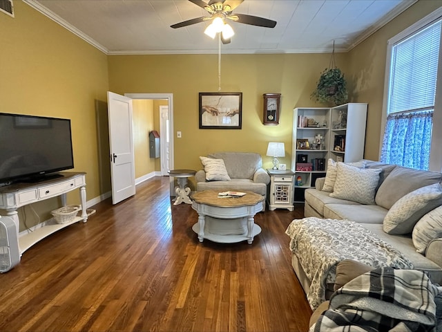 living room with ceiling fan, crown molding, and dark wood-type flooring