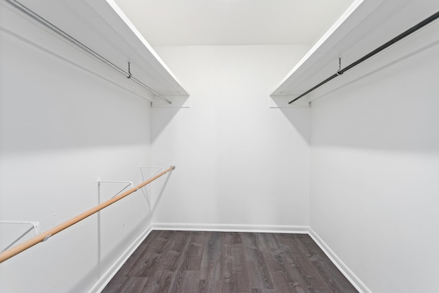 walk in closet with dark wood-type flooring