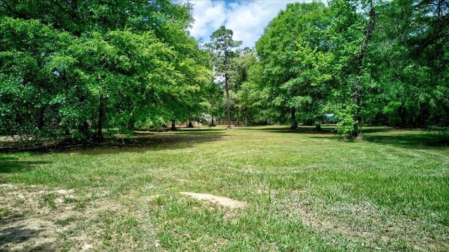 Listing photo 2 for 195 County Road 916, Buna TX 77612