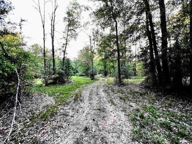 195 County Road 916, Buna, TX 77612 - photo 15