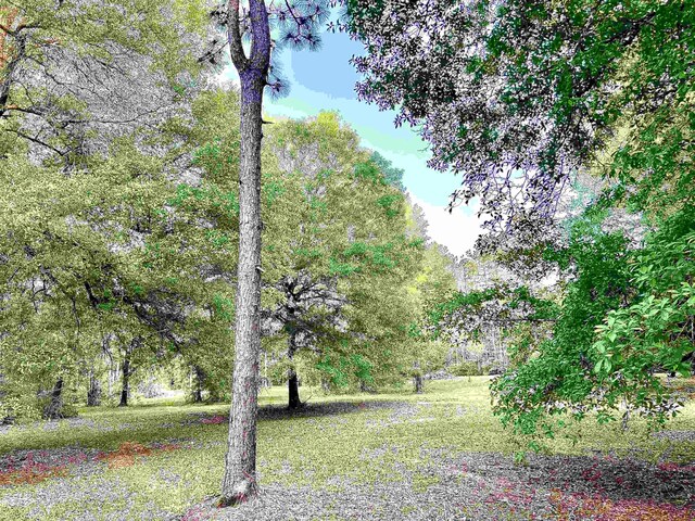 195 County Road 916, Buna, TX 77612 - photo 12