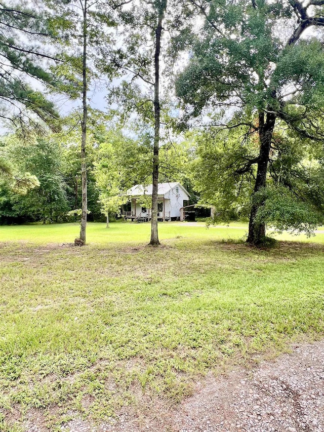1625 Texla Rd, Vidor, TX 77662 - photo 3