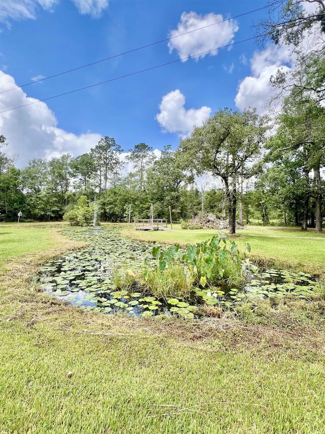 1625 Texla Rd, Vidor, TX 77662 - photo 4