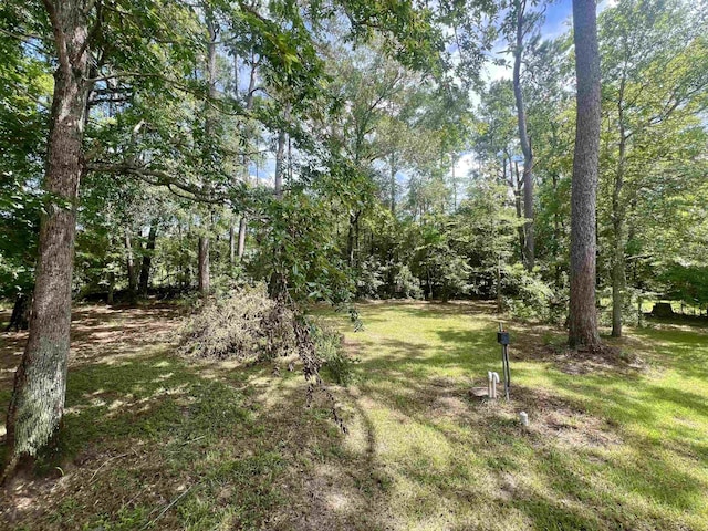 1625 Texla Rd, Vidor, TX 77662 - photo 19