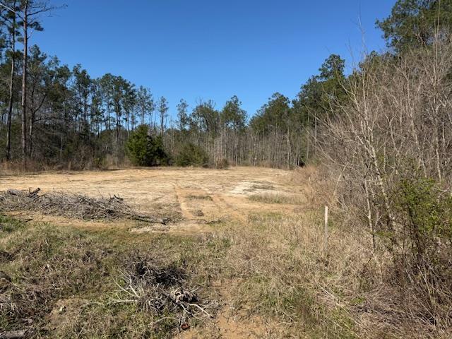 9105 Grizzly Dr, Kountze TX, 77625 land for sale