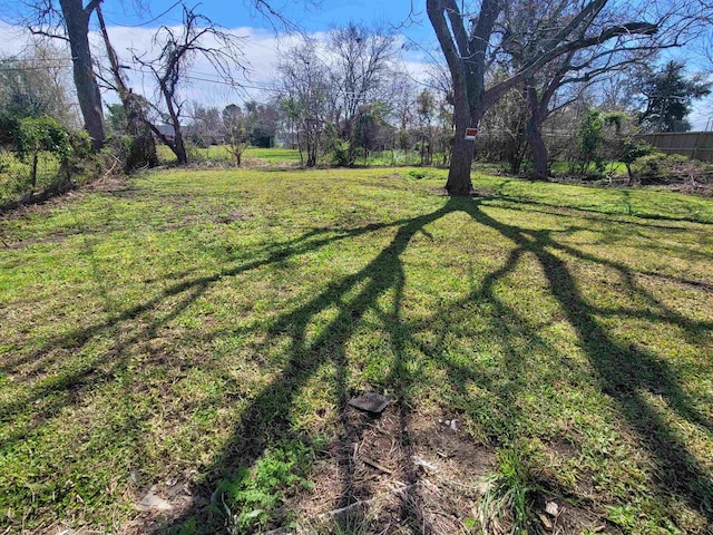 view of yard