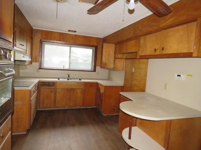 kitchen with black electric stovetop, sink, ceiling fan, a textured ceiling, and dark hardwood / wood-style flooring