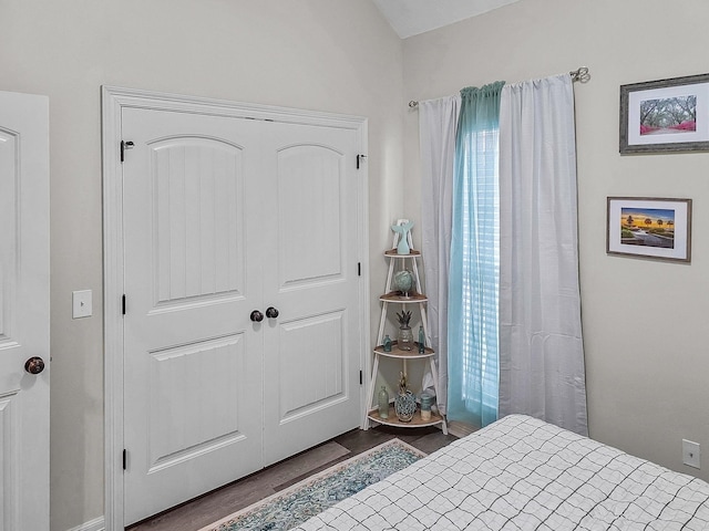 bedroom featuring a closet and dark wood-type flooring
