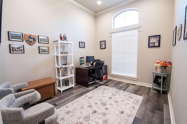 office space featuring ornamental molding and dark wood-type flooring