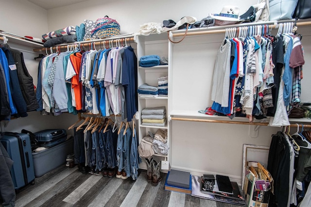 walk in closet featuring hardwood / wood-style flooring