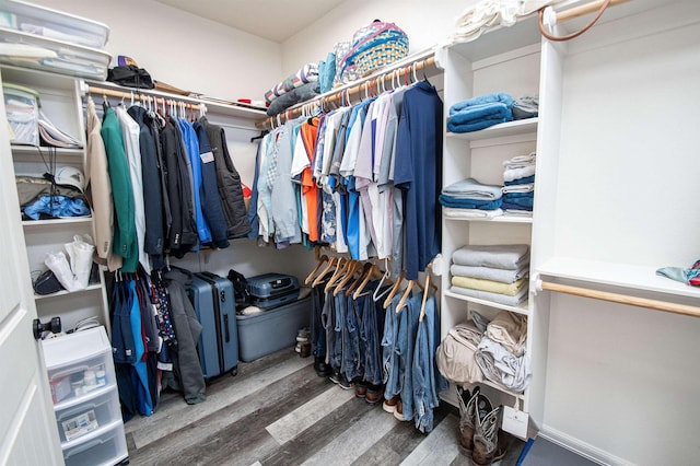 spacious closet featuring dark wood-type flooring