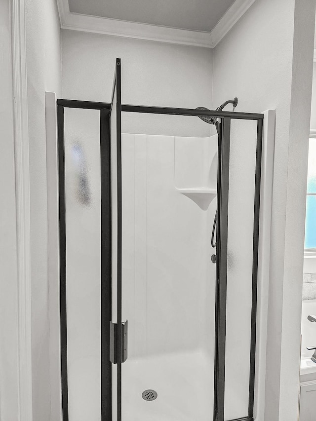 full bathroom with ornamental molding and a stall shower