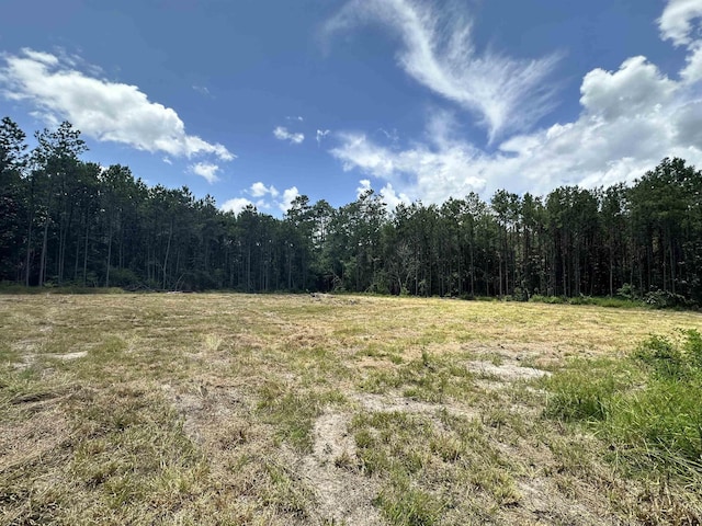 TBD County Road 4210, Woodville, TX 75979 - photo 8