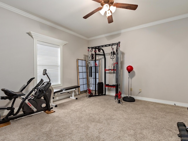 exercise area featuring carpet flooring, ceiling fan, and crown molding