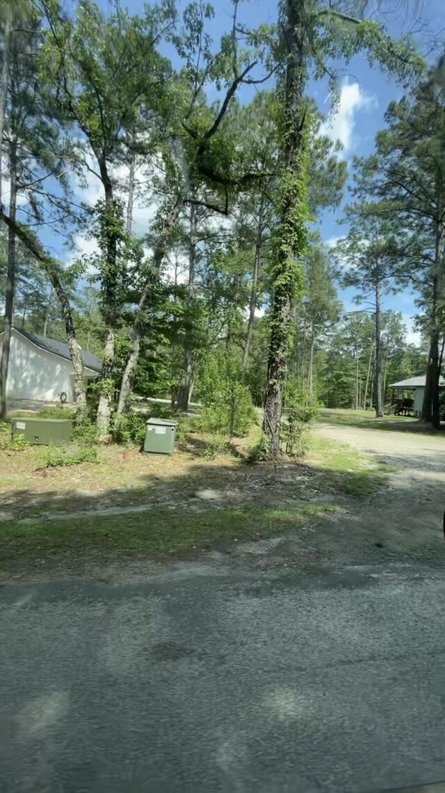 TBD Sassafras Dr, Brookeland, TX 75931