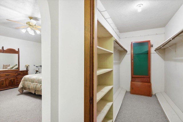 spacious closet with ceiling fan and light carpet