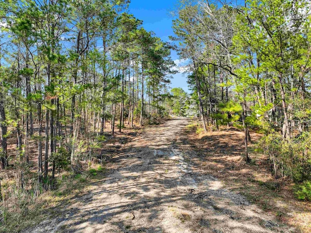 Listing photo 2 for TBD Bob White Ln, Brookeland TX 75931