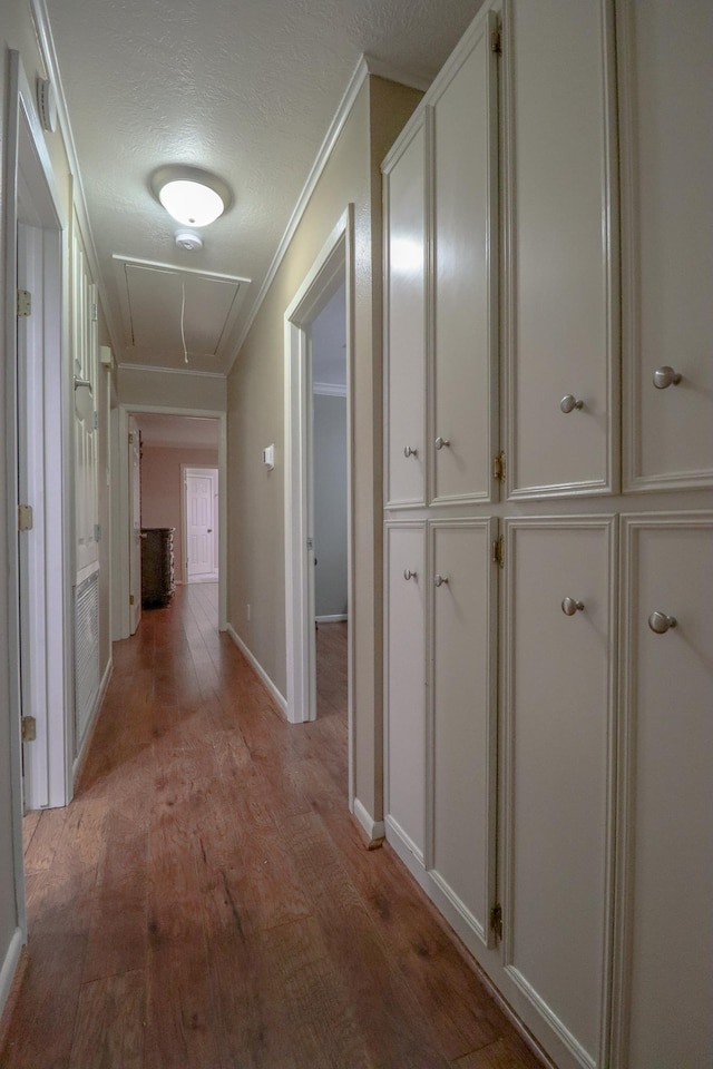 hallway featuring a textured ceiling, light wood-type flooring, and ornamental molding