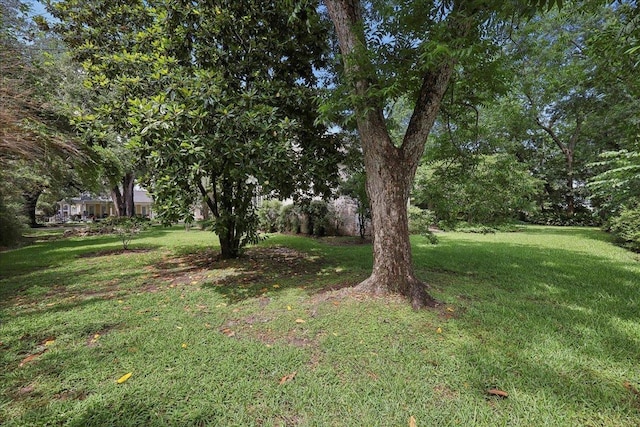 1007 Pine, Orange, TX 77630 - photo 35
