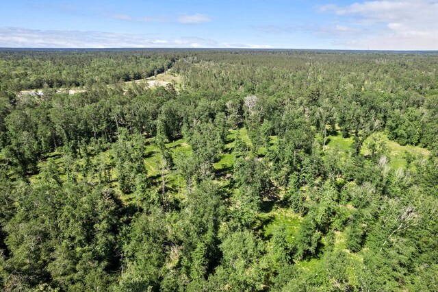 3625AND3575 Fm 420, Kountze, TX 77625