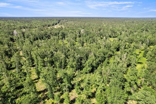 3625AND3575 Fm 420, Kountze, TX 77625
