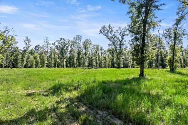 3625AND3575 Fm 420, Kountze, TX 77625
