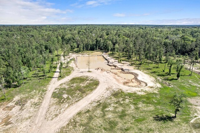 3625AND3575 Fm 420, Kountze, TX 77625