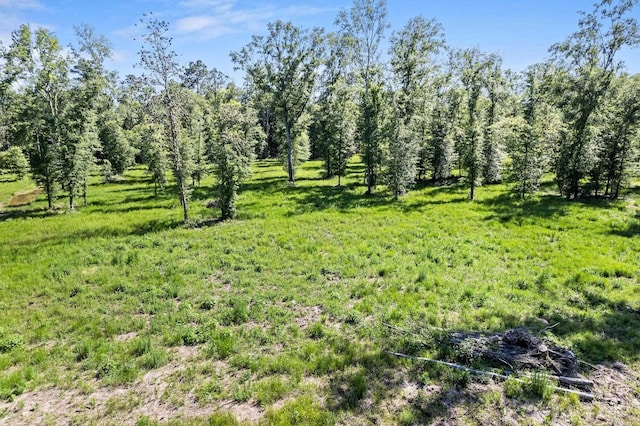 3625AND3575 Fm 420, Kountze, TX 77625