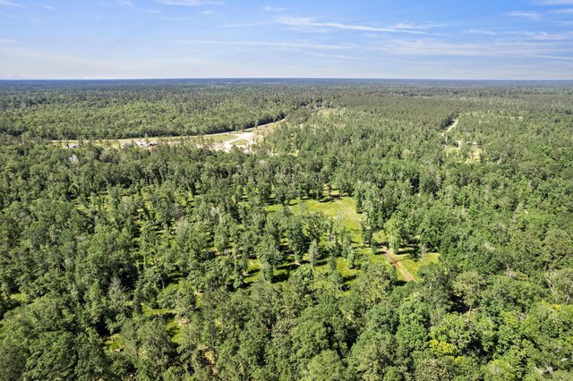 3625AND3575 Fm 420, Kountze, TX 77625