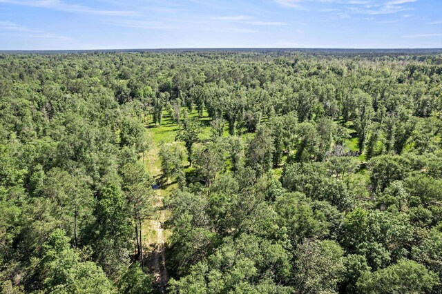 3625AND3575 Fm 420, Kountze, TX 77625