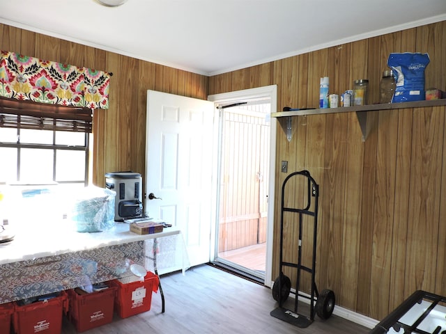 interior space featuring wooden walls and wood finished floors