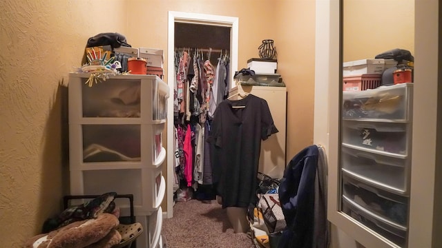 spacious closet with carpet floors