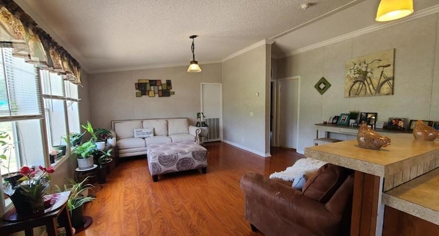 living room with radiator, ornamental molding, a textured ceiling, and hardwood / wood-style flooring