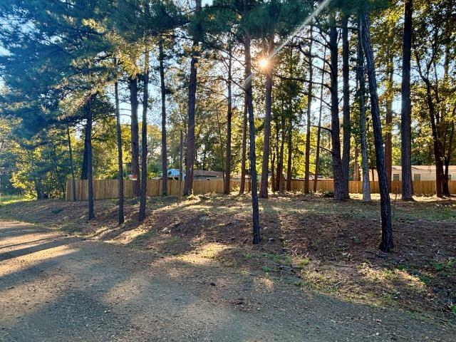 286 Pamela Dr, Brookeland, TX 75931