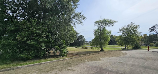 410 Main St, Kountze, TX 77625 - photo 7
