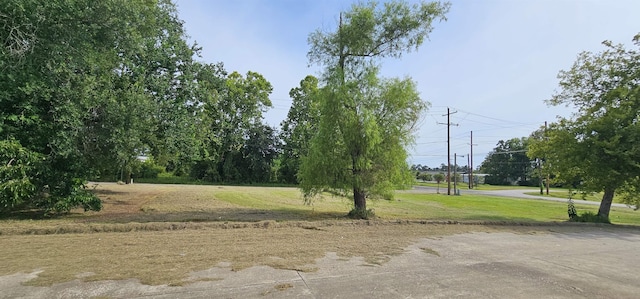 410 Main St, Kountze, TX 77625 - photo 6