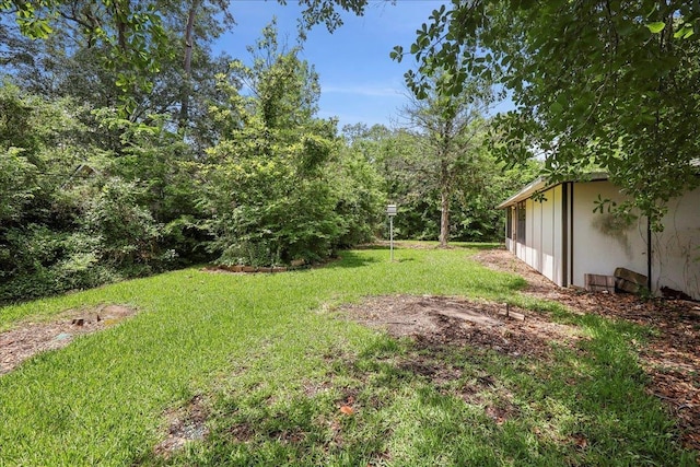 view of yard